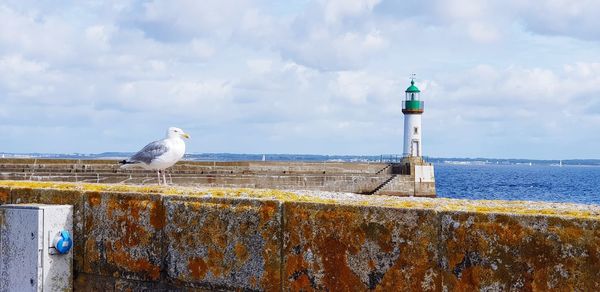 Seagull perching on lighthouse by sea against sky