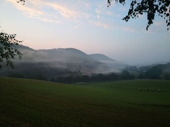 Scenic view of field against sky on a foggy morning