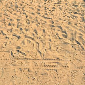 High angle view of tire track and shoe prints on sand