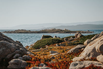 Scenic view of sea against clear sky