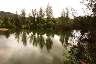 Reflection of trees in lake against sky