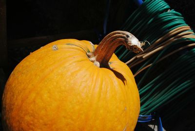 Close-up of pumpkin against orange sky