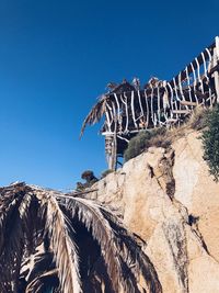 Low angle view of lizard on mountain against clear blue sky