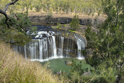Scenic view of waterfall in forest