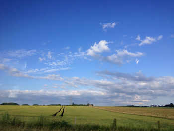 Scenic view of agricultural field against blue sky