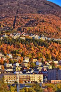 High angle view of townscape and trees during autumn