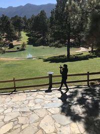 Full length of woman on railing against trees