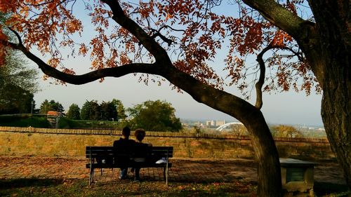 Silhouette man sitting by tree against sky during sunset