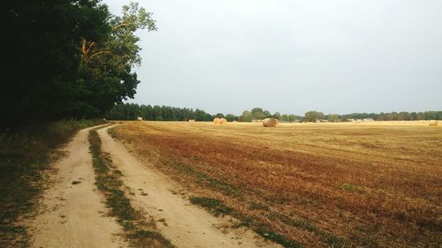 Scenic view of field against clear sky