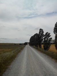 Road passing through field