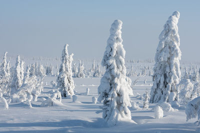 Panoramic shot of snow covered land against sky