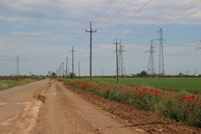 Road amidst field against sky