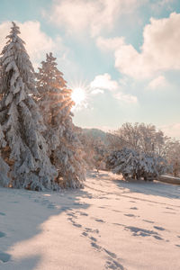 Scenic view of snow covered land against sky