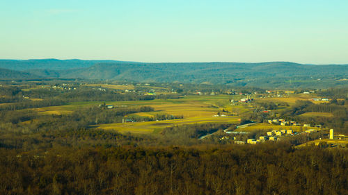 Scenic view of agricultural field against clear sky