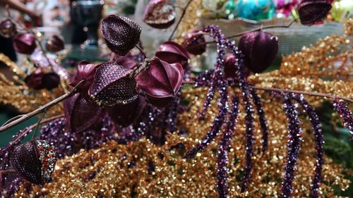 Close-up of christmas ornaments on plant