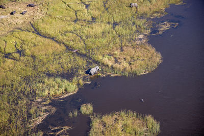 High angle view of road