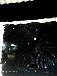 Detail shot of spider web