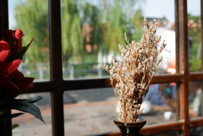 Close-up of flower vase on glass window