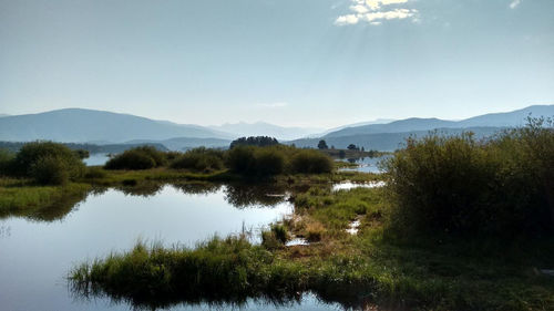 Scenic view of lake by trees against sky