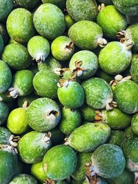 Full frame shot of fruits in market