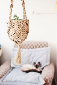 Close-up of clothes hanging on wicker basket at home