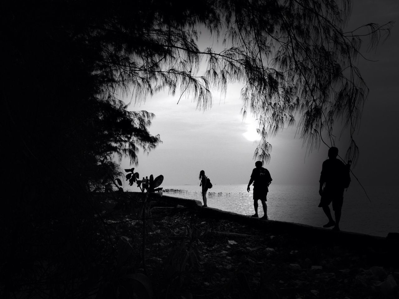 lifestyles, full length, leisure activity, men, silhouette, walking, tree, togetherness, rear view, person, boys, childhood, standing, bonding, sky, girls, love