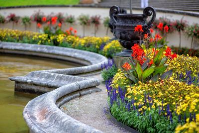 Close-up of flower pot in garden