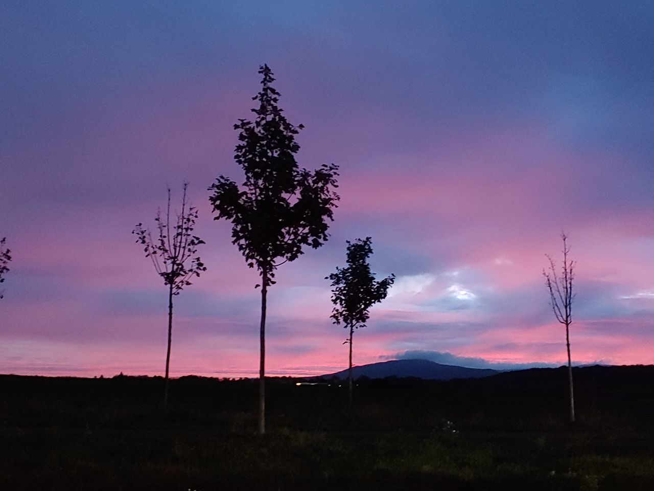 sky, sunset, beauty in nature, silhouette, tree, tranquil scene, tranquility, scenics - nature, plant, cloud - sky, nature, no people, environment, land, non-urban scene, growth, landscape, mountain, orange color, idyllic, outdoors, purple