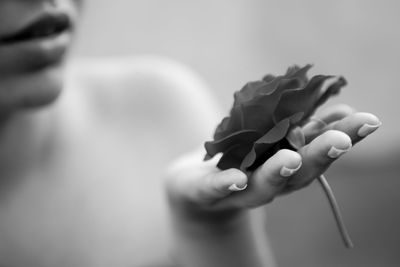 Close-up of hand holding leaf