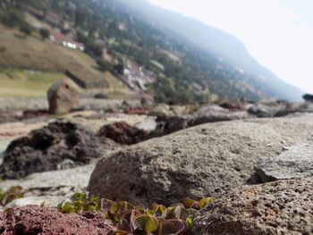 Rock formations on landscape