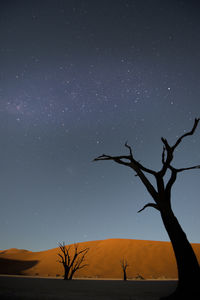 Low angle view of bare tree against sky at night