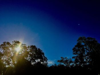 Low angle view of silhouette trees against blue sky