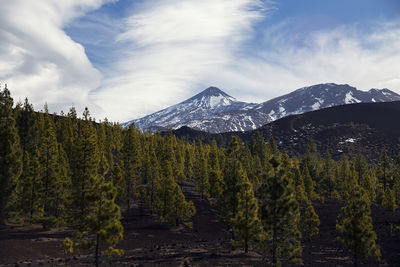 Scenic view of mountains against sky during winter