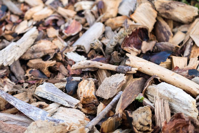 Full frame shot of wood chips on field