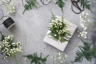 Close-up of flowers and plants on table