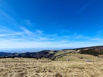 Scenic view of landscape against blue sky