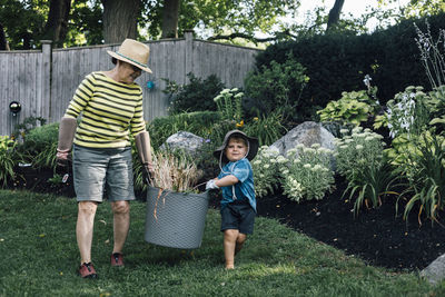 Grandmother with grandson carrying basket of plant together in garden