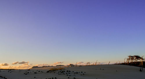 Scenic view of landscape against clear blue sky