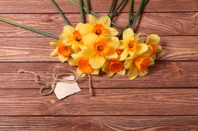 High angle view of flowering plant on table