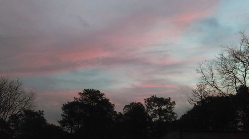 Silhouette of trees against cloudy sky