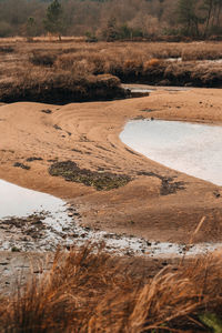 natural environment
