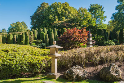 Trees and plants in garden against sky