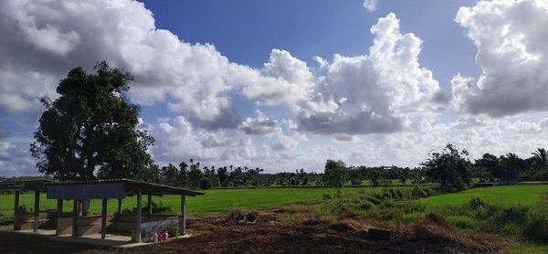 Panoramic view of field against sky