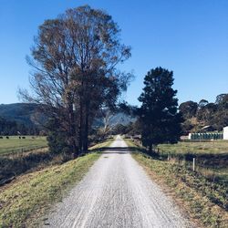 Empty road along trees