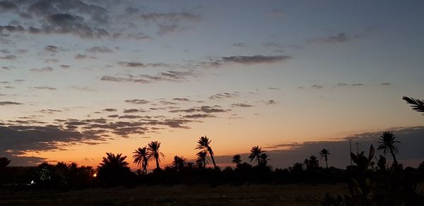 Silhouette trees on landscape against sky during sunset