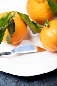 Tangerines on the white plate