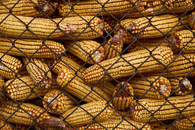 Full frame shot of chainlink fence