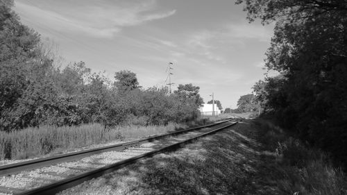 Railroad tracks by trees against sky