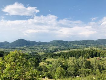 Scenic view of landscape against sky