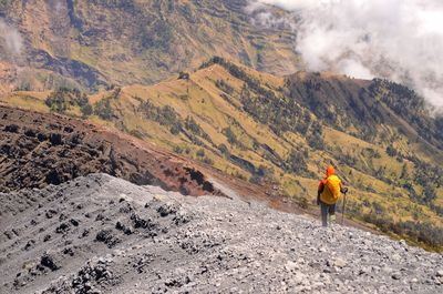 Rear view of man standing on mountain